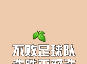星空体育app体验棒-精彩绝伦一战，谁能赢得反败为胜的机会？的简单介绍