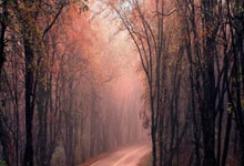 精彩集锦:球员突破防守得分