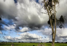 天津德比烽火再起，泰达对阵天海