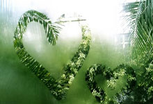 天津德比烽火再起,泰达对阵天海