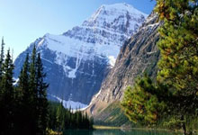 森林狼大胜山猫土豪委琛表现抢眼