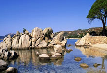 切尔西连胜欧冠，战绩可观晋级希望