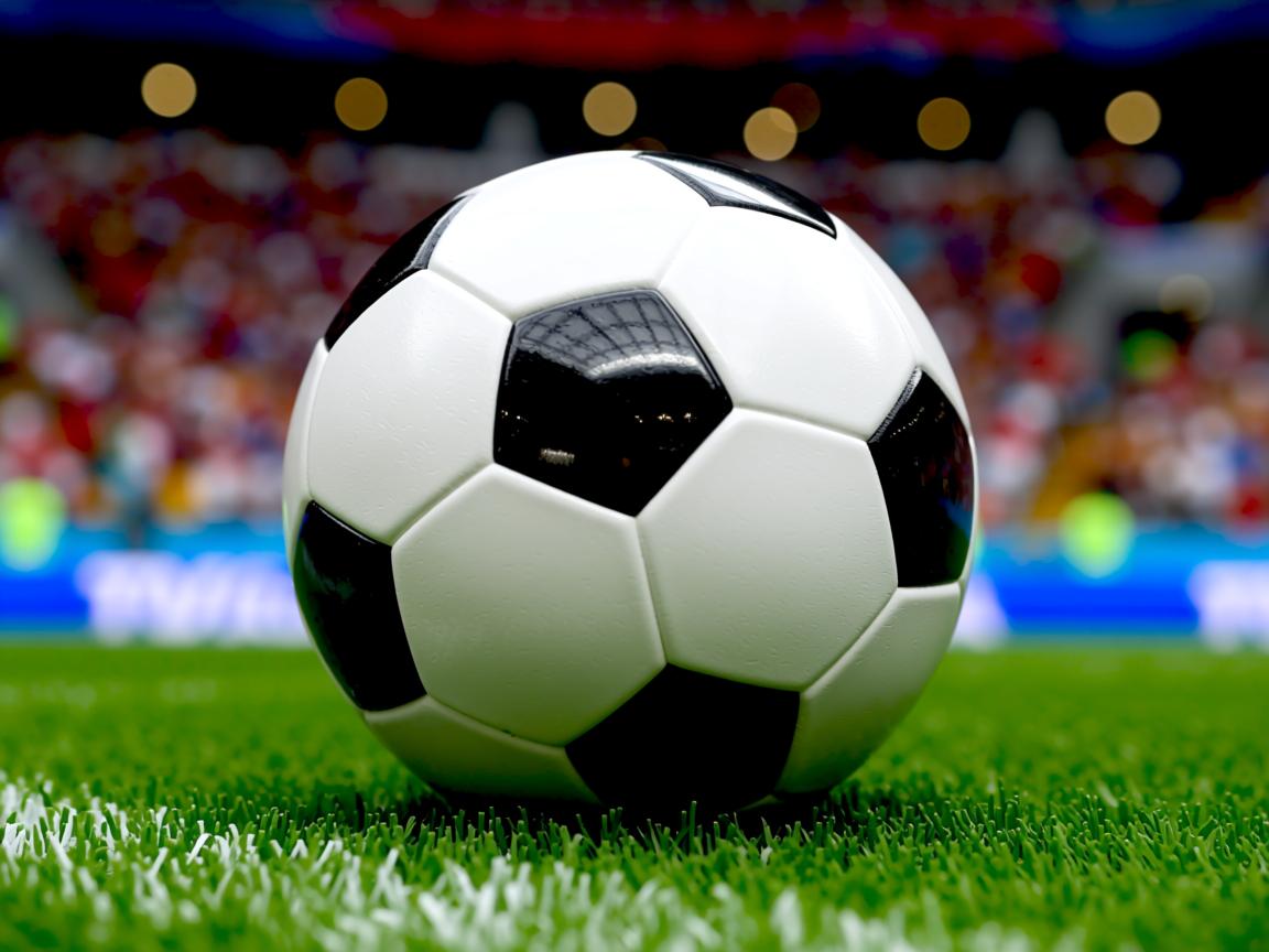 星空体育在线-CBA联盟强化青训基地建设布局全国重点城市，cba青训队是什么  第2张