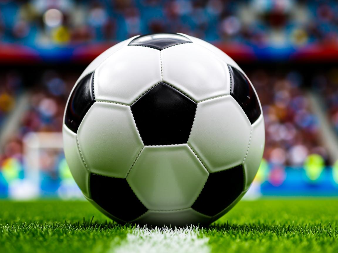 星空体育全站app-“亲子互动！牛仔3K亲子跑在香港开跑”  第2张